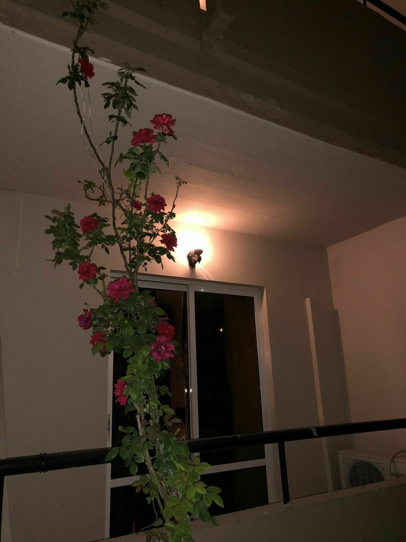 Hotel Jimmy'S Garden Faliraki Zewnętrze zdjęcie